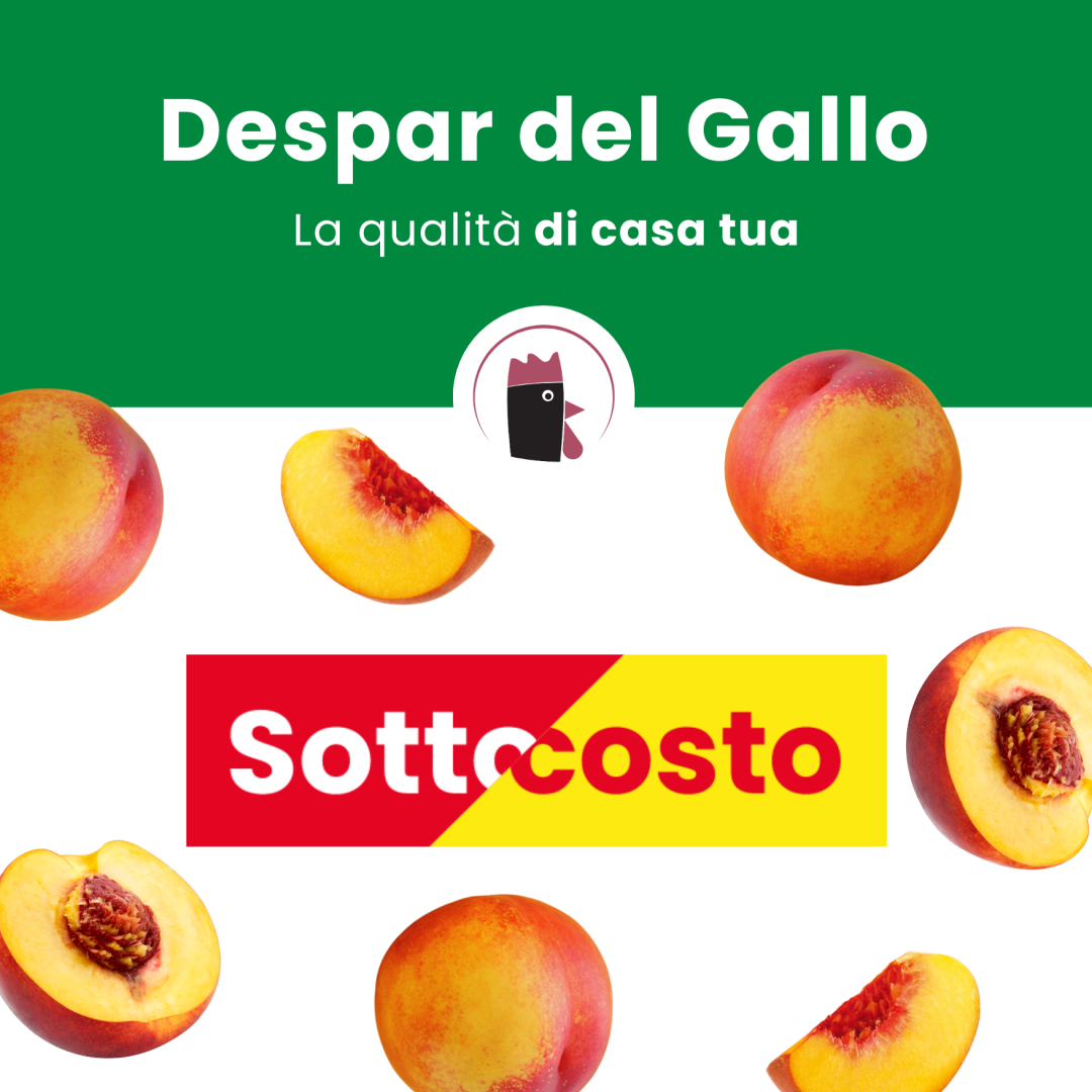 OS10 Carosello offerte (2) OS10 Carosello offerte (2)