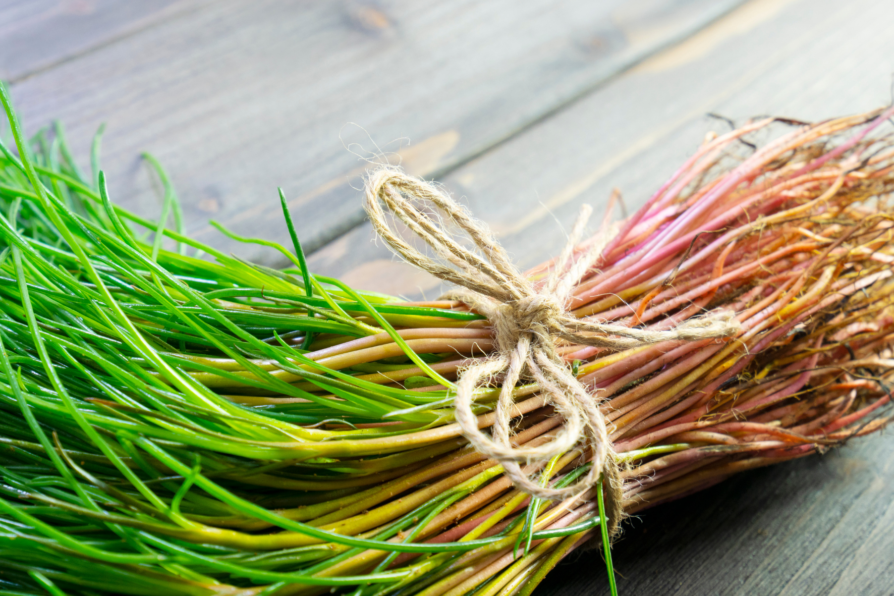 Sai cosa sono gli agretti? Ecco due semplici ricette per conoscerli meglio!