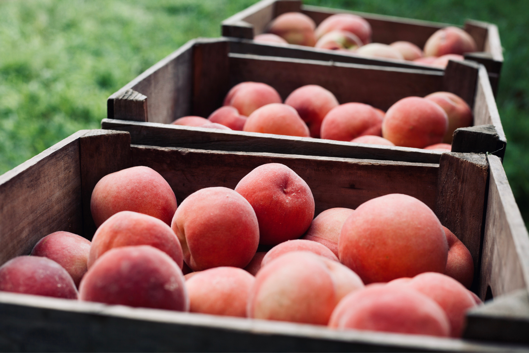 La spesa di Settembre. Frutta e verdura di stagione con ricetta