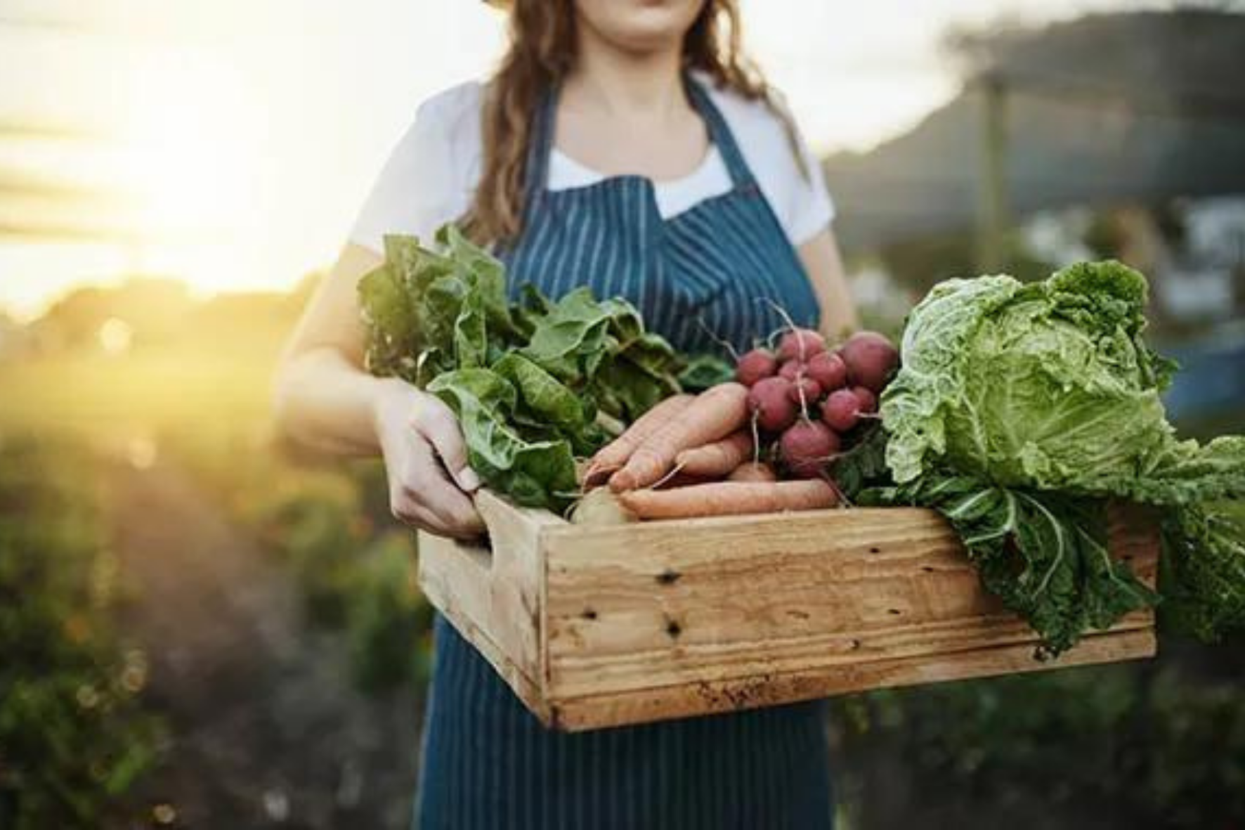 La spesa di Giugno. Frutta e verdura di stagione con ricetta